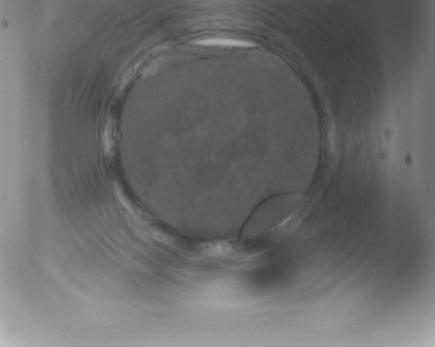 X0000051890074200507081949