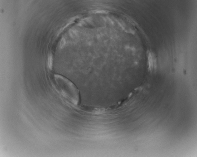 X0000051890076200507081949