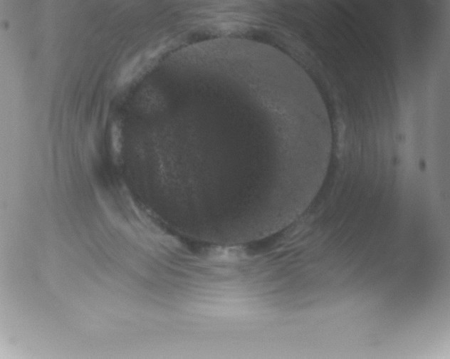 X0000051890077200507081949