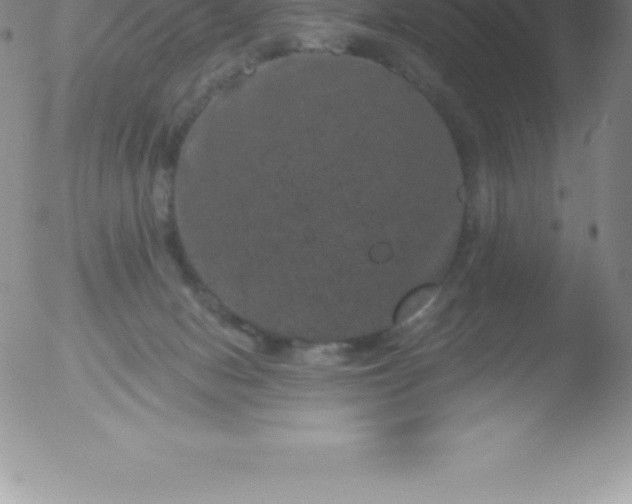 X0000051890078200507081949