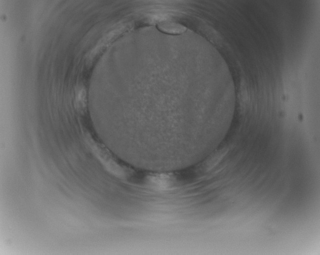 X0000051890079200507081949