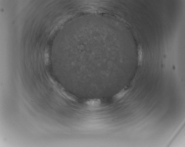 X0000051890080200507081949