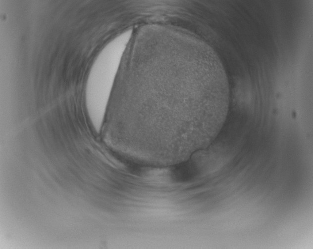 X0000051890081200507081949