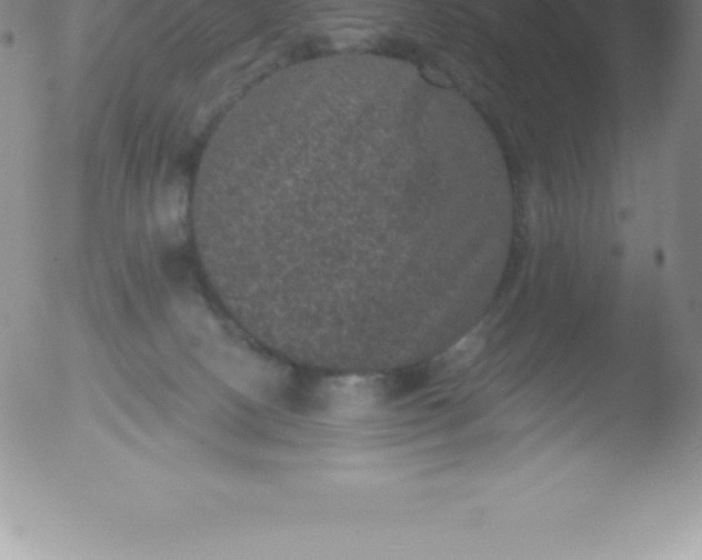 X0000051890082200507081949