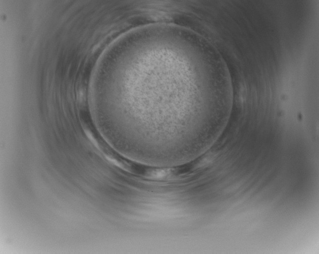 X0000051890084200507081949