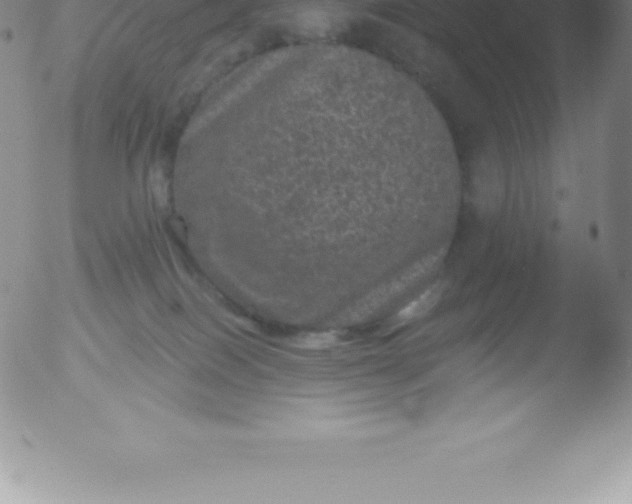 X0000051890086200507081949