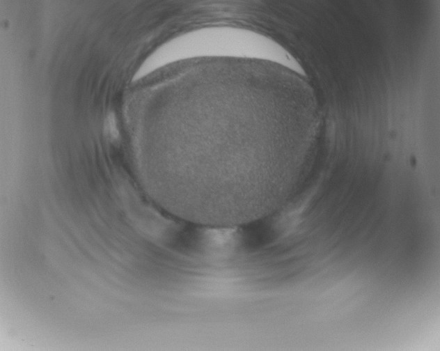 X0000051890089200507081949