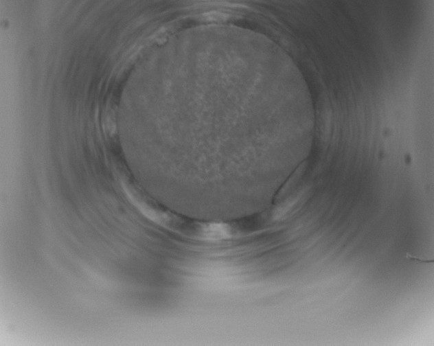 X0000051890091200507081950