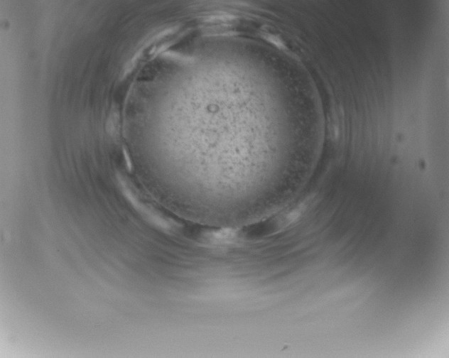 X0000051890092200507081950