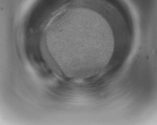 X0000051890093200507081950