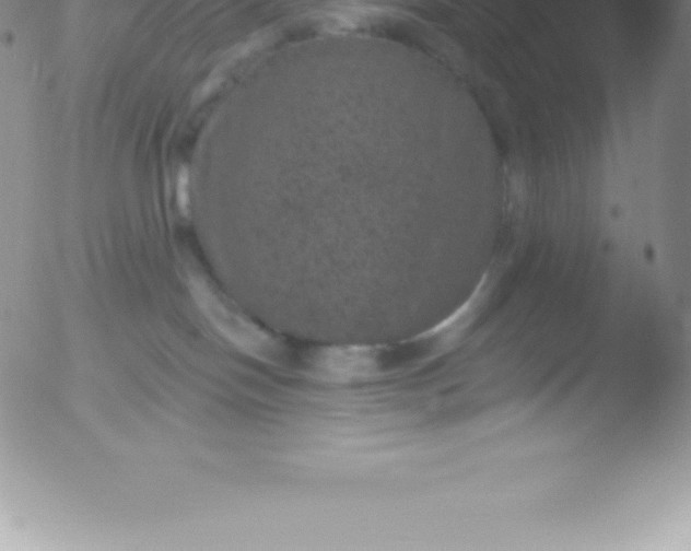 X0000051890094200507081950