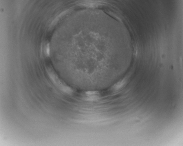 X0000051890095200507081950