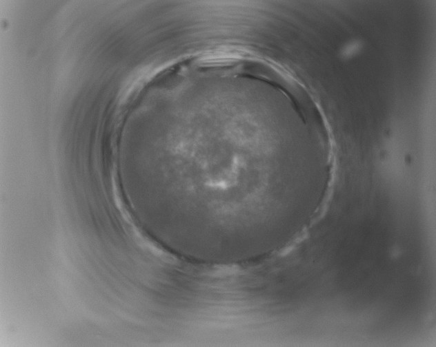 X0000051890097200507081949