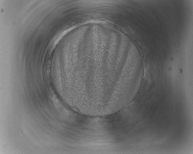 X0000051890098200507081949