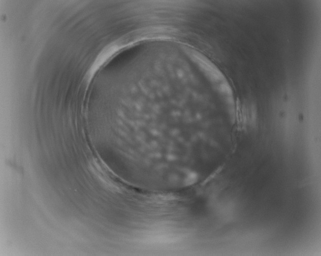 X0000051890099200507081949