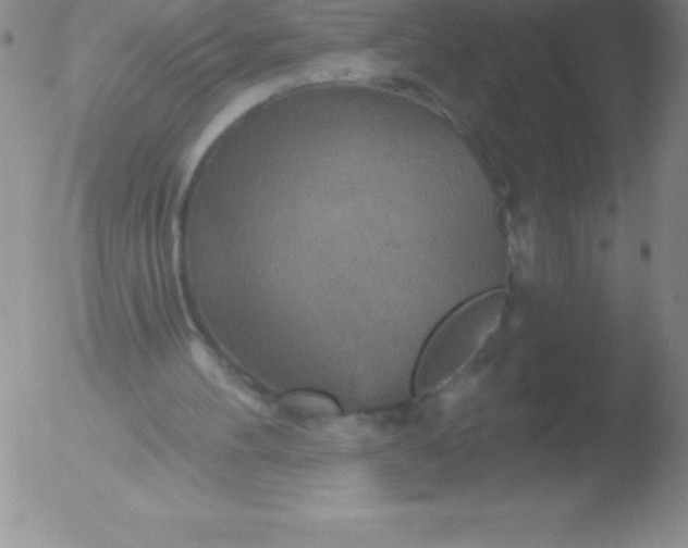 X0000051890100200507081949