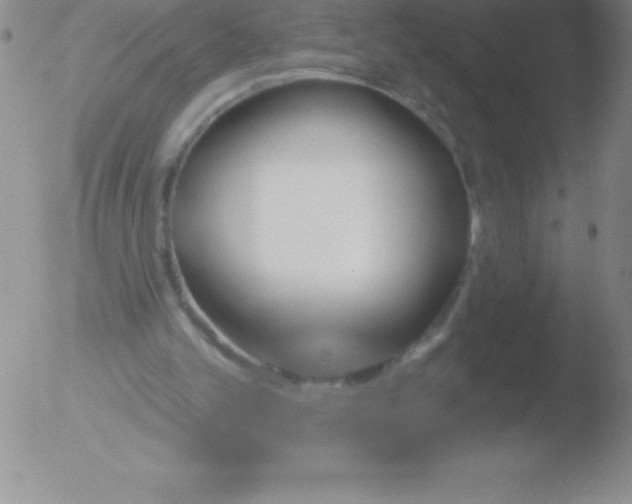 X0000051890101200507081949