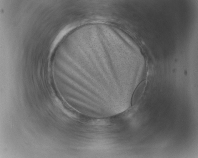 X0000051890102200507081949