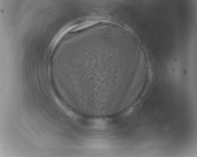 X0000051890103200507081949