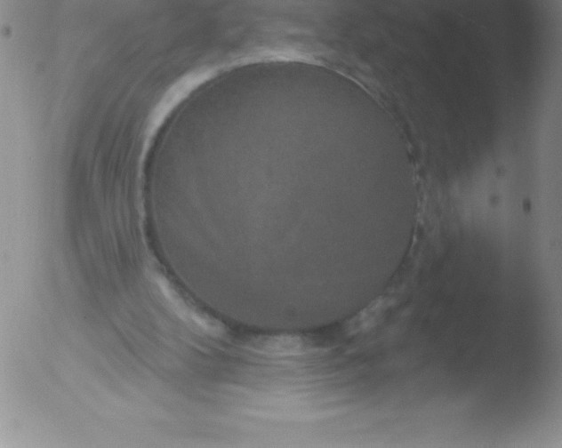 X0000051890104200507081949