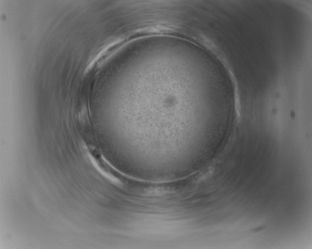 X0000051890105200507081949