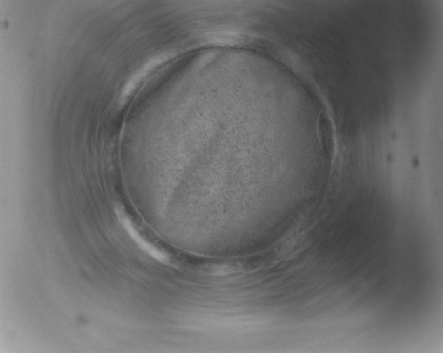 X0000051890106200507081949