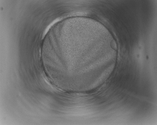 X0000051890107200507081949