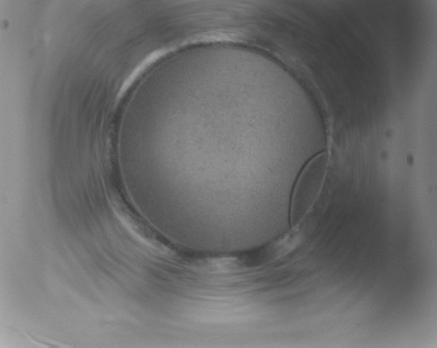 X0000051890108200507081949