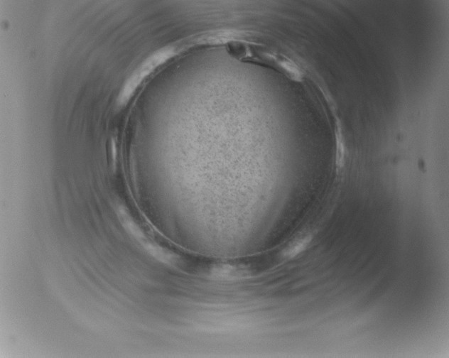 X0000051890109200507081949