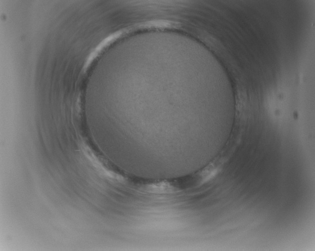 X0000051890112200507081949