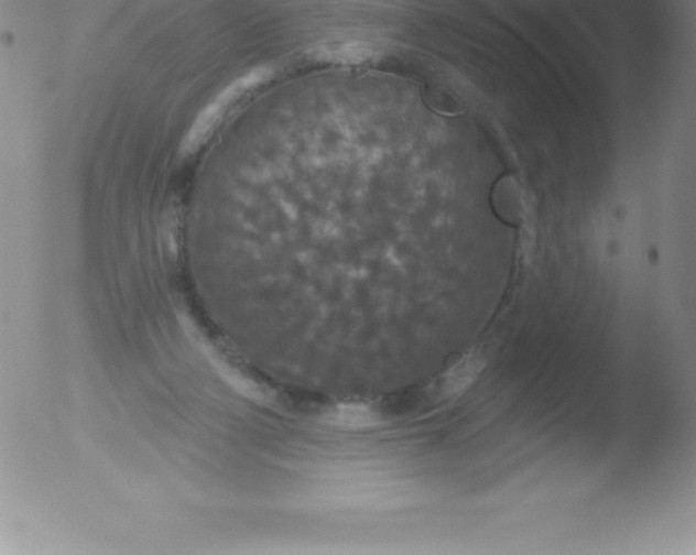 X0000051890114200507081949