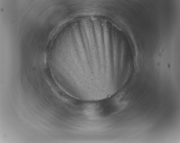 X0000051890115200507081949