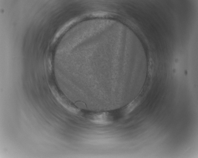 X0000051890116200507081948