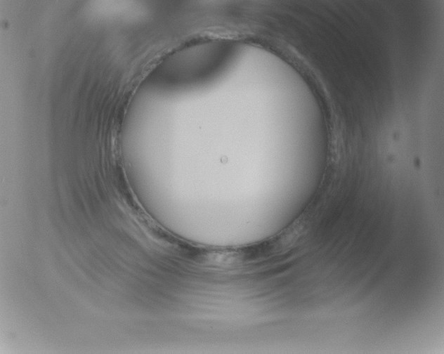 X0000051890117200507081948