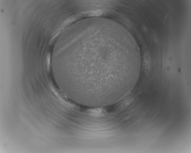 X0000051890118200507081948