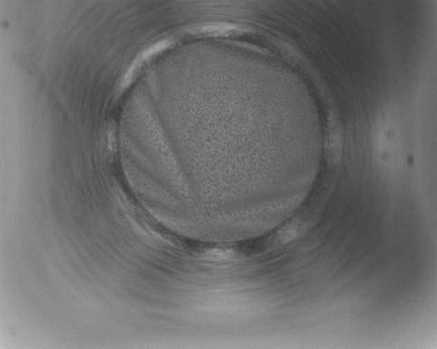 X0000051890119200507081948