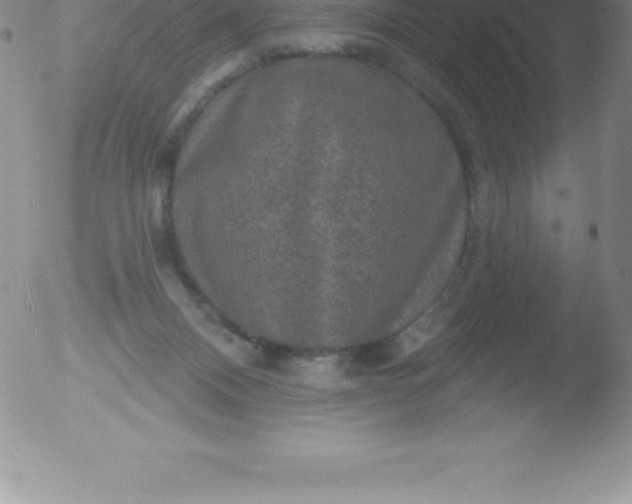 X0000051890120200507081948