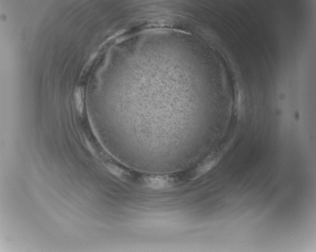 X0000051890121200507081948