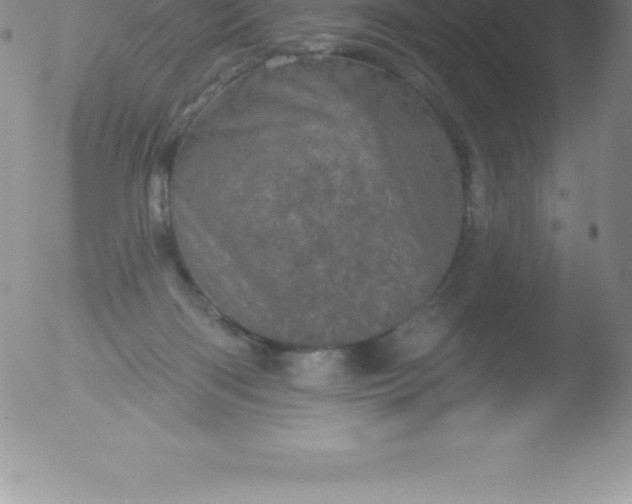 X0000051890122200507081948