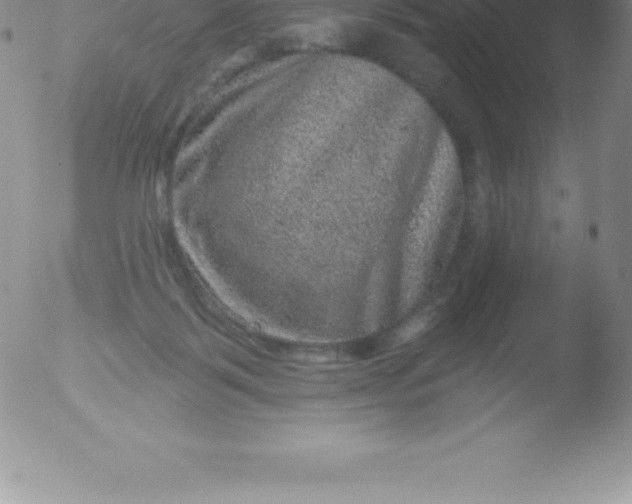 X0000051890123200507081948