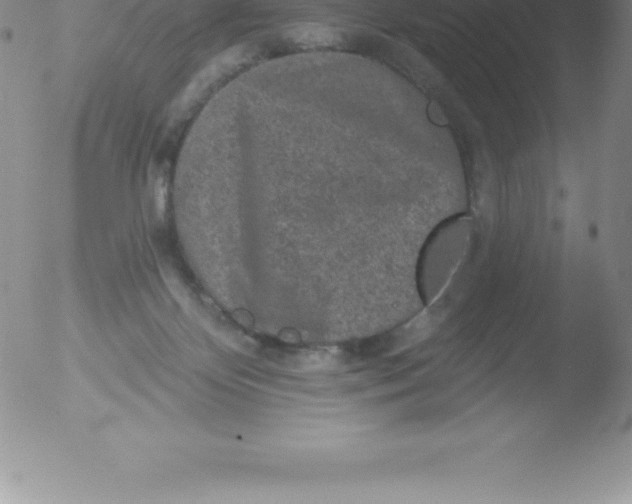 X0000051890124200507081948