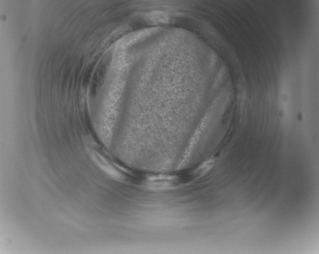 X0000051890125200507081948