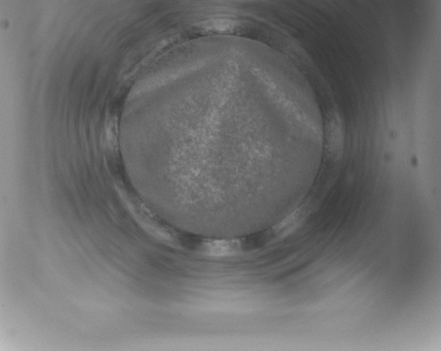 X0000051890126200507081948