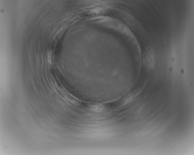 X0000051890127200507081948