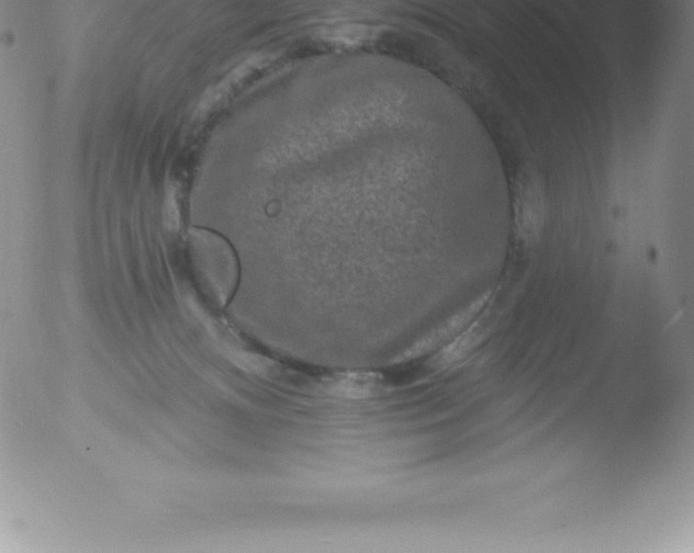 X0000051890128200507081948