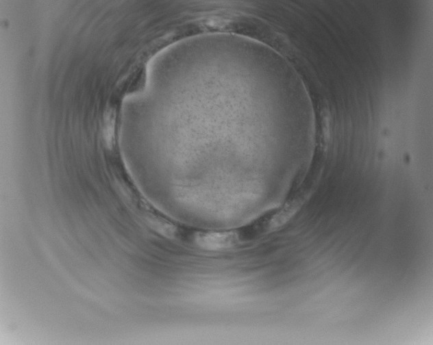 X0000051890129200507081948