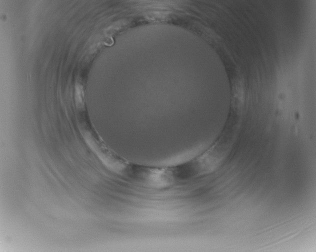 X0000051890130200507081948