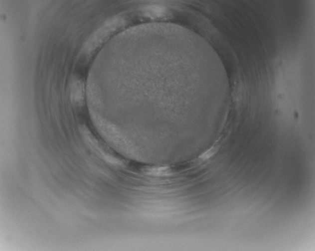 X0000051890132200507081948