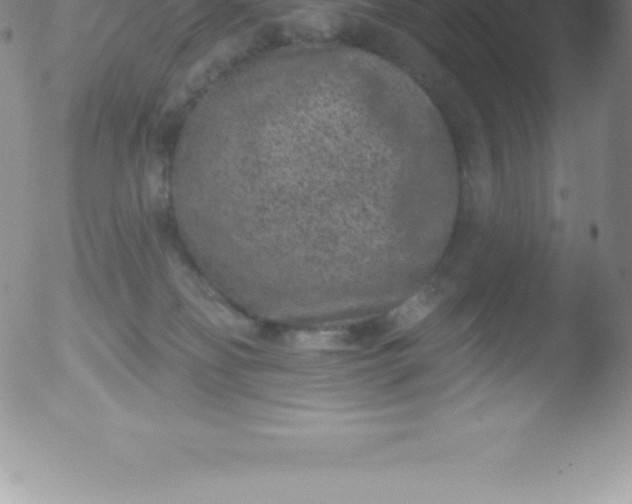 X0000051890134200507081948