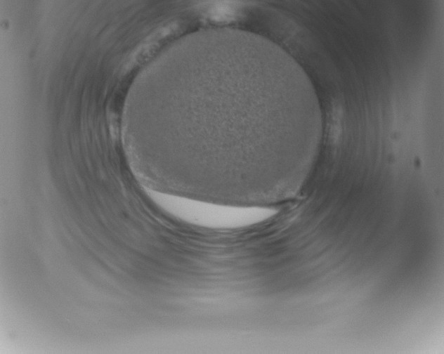 X0000051890135200507081948